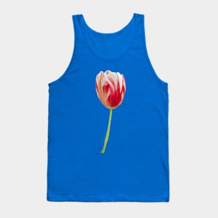 Modern Viceroy Tank Top